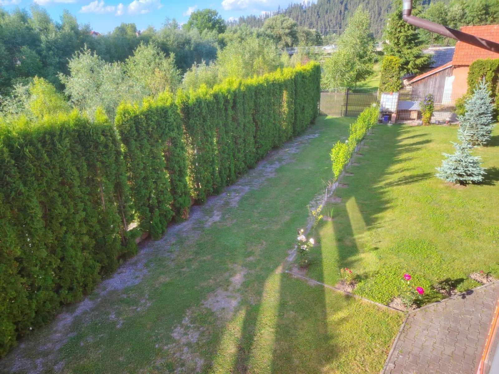 Pensiunea Floro Întorsura Buzăului Eksteriør bilde